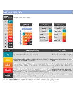 Matriz de Risco PGR 4x4 Flexível | PDF