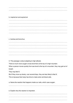 Grade 7 Respiratory System Worksheet | PDF | Breathing | Respiratory System