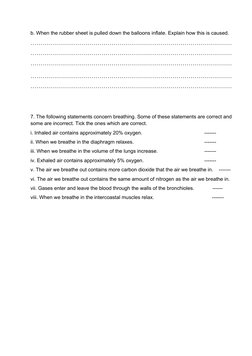 Grade 7 Respiratory System Worksheet | PDF | Breathing | Respiratory System