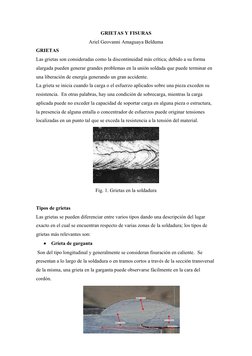 GRIETAS Y FISURAS
Ariel Geovanni Amaguaya Belduma
GRIETAS
Las grietas son consideradas como la discontinuidad más crítica; de