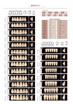 IFICIELLES EN RÉSINE - 
DIENTES ARTIFICIALES EN RESINA
61
62
65
66
67
77
69
81
COLORES 
S18
(1) 
45,2
(2) 
9,0
(3) 
11,0
(4)