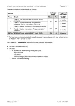 Cat Pat Task Example CAT PAT Task Guidelines 2024 | PDF | Spreadsheet | Information