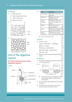 CAMBRIDGE PRIMARY SCIENCE 5 TEACHER’S RESOURCE 
8
Cambridge Primary Science 5 – Fiona Baxter & Liz Dilley © Cambridge Univers