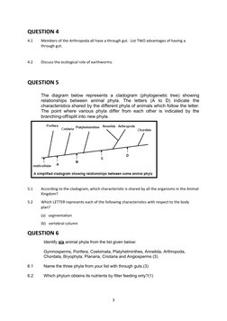 Grade 11 Animal Diversity Questions | PDF | Biology | Organisms