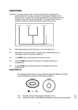 Grade 11 Animal Diversity Questions | PDF | Biology | Organisms