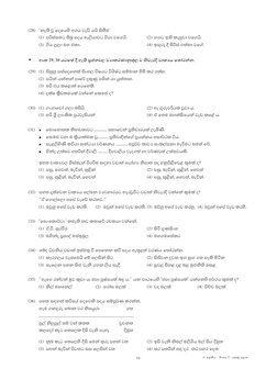 Grade 11 Sinhala 1st Term Papers | PDF