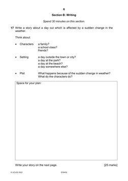 6 
© UCLES 2022 
E/S4/02 
Section B: Writing 
 
Spend 30 minutes on this section. 
 
17 Write a story about a day out which i