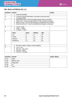 Inspire Computing Year 8 Workbook | PDF | Data Compression | Byte