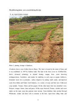 3 
 
The following farms  were covered during the trip: 
 1. AL NAFOORA FARM 
 
Photo 2: planting desingn of alnafoora  
Al n