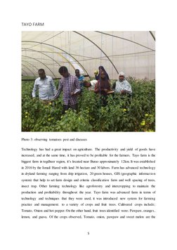 5 
 
TAYO FARM 
 
Photo 3: observing tomatoes pest and diseases  
Technology has had a great impact on agriculture. The produ