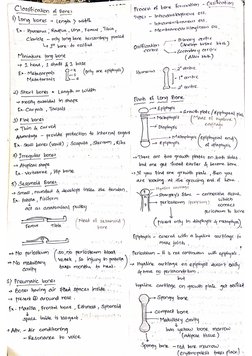 General Anatomy Notes | PDF
