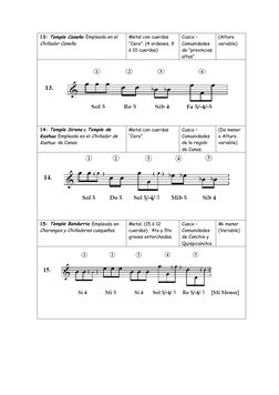 13: Temple Caneño. Empleado en el 
Chillador Caneño.  
Metal con cuerdas 
“Cero”. (4 ordenes, 9 
ó 10 cuerdas) 
Cusco –
Comun