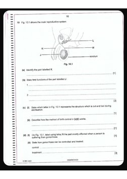 Bgcse SDA Leaked 2023 | PDF