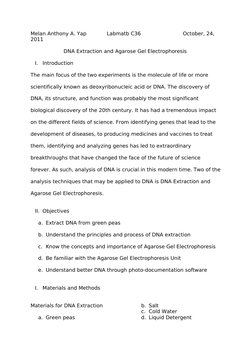 DNA Extraction and Gel Electrophoresis Lab | PDF | Gel Electrophoresis ...