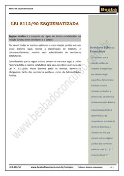 APOSTILA ESQUEMATIZADA 
 
 
 
LEI 8.112/90                  www.beabadoconcurso.com.br/compras        Todos os direitos reser