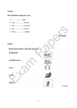 Grade 3 English 3rd Term Test Papers | PDF | Cuisine | Foods