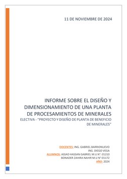 INFORME SOBRE EL DISEÑO Y 
DIMENSIONAMIENTO DE UNA PLANTA 
DE PROCESAMIENTOS DE MINERALES 
ELECTIVA - “PROYECTO Y DISEÑ