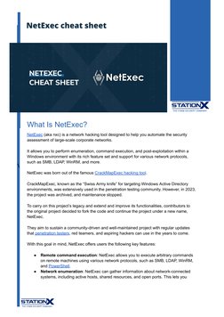 NetExec: Advanced Network Hacking Tool | PDF | System Software ...