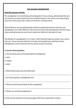 Unseen Passages for Class 2 Comprehension | PDF
