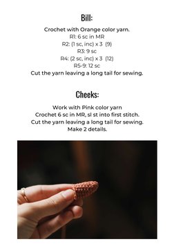 Bill:
Crochet with Orange color yarn.
R1: 6 sc in MR
R2: (1 sc, inc) х 3  (9)
R3: 9 sc
R4: (2 sc, inc) х 3  (12)
R5-9: 12 sc