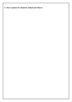 4. Draw a picture of a domestic animal and colour it.
