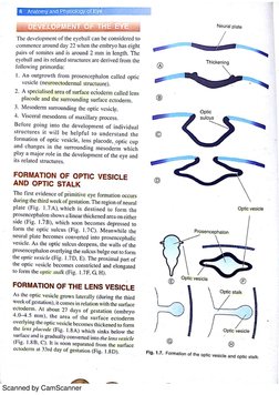 Anatomy and Physiology of the Eye | PDF