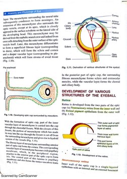 Anatomy and Physiology of the Eye | PDF
