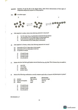 2024 DSE Biology MC Answers | PDF