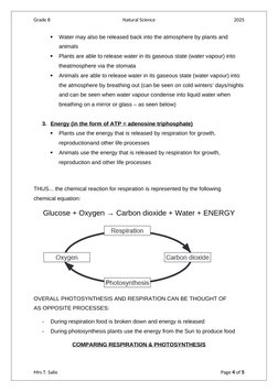 Natural Science Notes Photosynthesis and Respiration Explained | PDF | Photosynthesis ...
