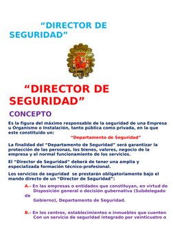 Funciones del Jefe de Seguridad | PDF | Seguridad | Planificación