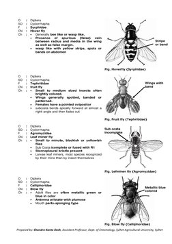 Key Families of Diptera Insects | PDF | Fly | Insects And Humans