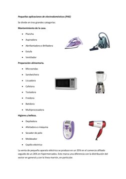 Pequeñas aplicaciones de electrodomésticos (PAE) 
Se divide en tres grandes categorías: 
Mantenimiento de la casa. 
 Plancha