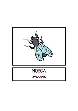MOSCA
mosca
