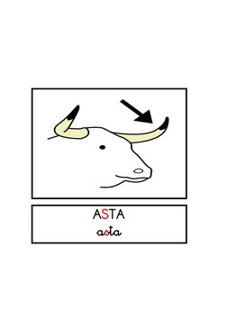 ASTA
asta
