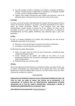  Los tallos pueden ser leñosos o herbáceos. Los leñosos son propios de árboles y 
arbustos, son tallos gruesos y endurecidos