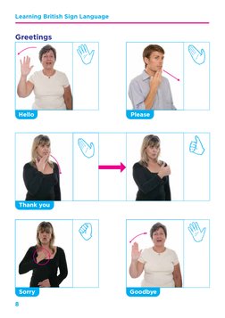 8
Learning British Sign Language 
Please
Hello
Thank you
Goodbye
Sorry
Greetings
