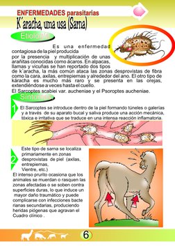 El Sarcoptes se introduce dentro de la piel formando túneles o galerías 
y a través  de su aparato bucal y saliva pro