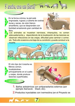 3
4
5
Tratamiento:
Tratamiento:
7
Síntomas:
Síntomas:
En la forma crónica, la piel está 
engrosada, rugosa y cubierta de cost