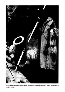 Un cazador Secoya (a la izquierda) afilando la punta de una lanza con la ayuda de un
hombre Siona.
