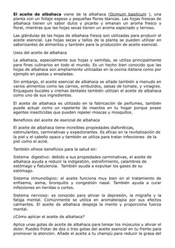El aceite de albahaca viene de la albahaca (Ocimum basilicum ), una
planta con un follaje espeso y pequeñas flores blancas. L