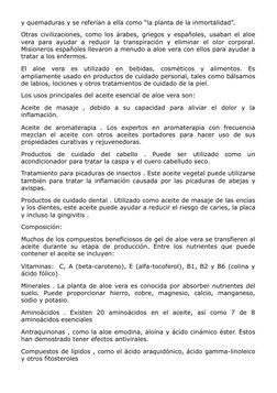 y quemaduras y se referían a ella como “la planta de la inmortalidad”.
Otras civilizaciones, como los árabes, griegos y españ