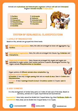 Overview of Animal Kingdom Phyla | PDF | Vertebrates | Mollusca
