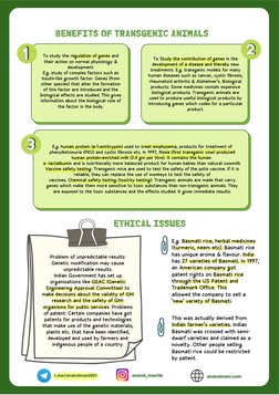 BENEFITS OF TRANSGENIC ANIMALS
ETHICAL ISSUES
To study the regulation of genes and
their action on normal physiology &
develo
