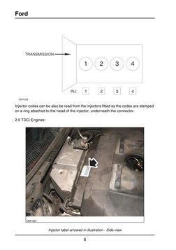Ford Injector Programming Guide | PDF | Fuel Injection | Rotating Machines