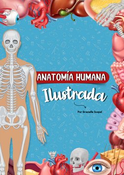 ANATOMÍA HUMANA
ANATOMÍA HUMANA
Il
us
tr
a
d
a
Il
us
tr
a
d
a
Por Grazielle Scopel 
