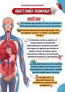 El término Anatomía proviene del griego "ana",
que significa "partes", y "tomei", que significa
"cortar".
   Es la Ciencia
