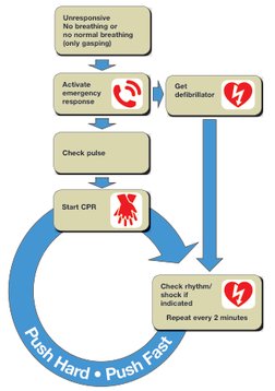Unresponsive 
No breathing or 
no normal breathing
(only gasping)
Activate 
emergency 
response
Start CPR
Get 
deﬁbrillator
C