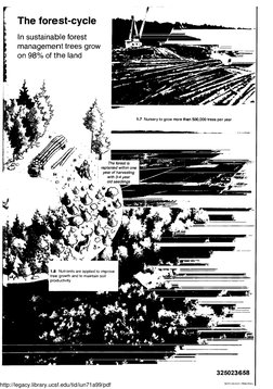 The forest-cycle
In sustainable forest
management trees grow
on 98% of the land
1.7 Nursery to grow more than 500,000 trees p