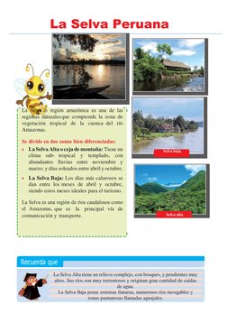 La Selva Peruana para Niños: Clima y Ríos | PDF | Selva | Perú