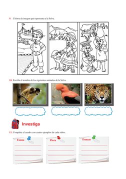 La Selva Peruana para Niños: Clima y Ríos | PDF | Selva | Perú